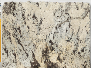 Alaska White - Image 2