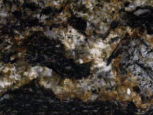 Black Taurus - Image 1