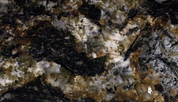 Black Taurus