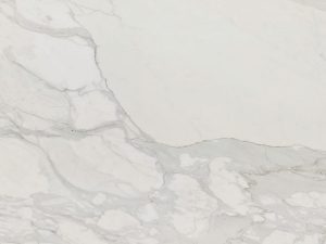 Calacatta Cremo - Image 1