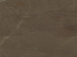 Gris Pulpis - Image 1