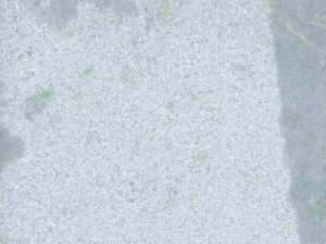 Pinta Verde Marble