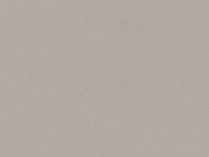 Raw Concrete 4004 by Caesarstone