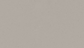 Raw Concrete 4004 by Caesarstone