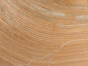Seta Onyx - Image 1