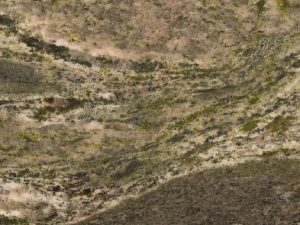 Verde Imperiale - Image 1
