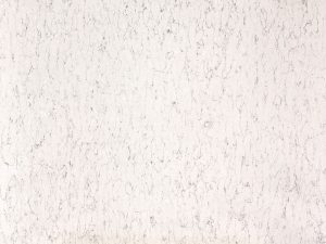 White Arabesque by Silestone - Image 1