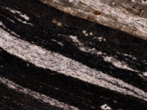 Zebra Black - Image 1