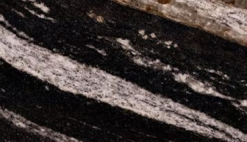 Zebra Black