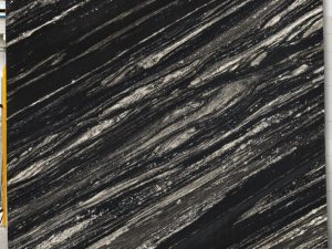 Zebra Black - Image 3